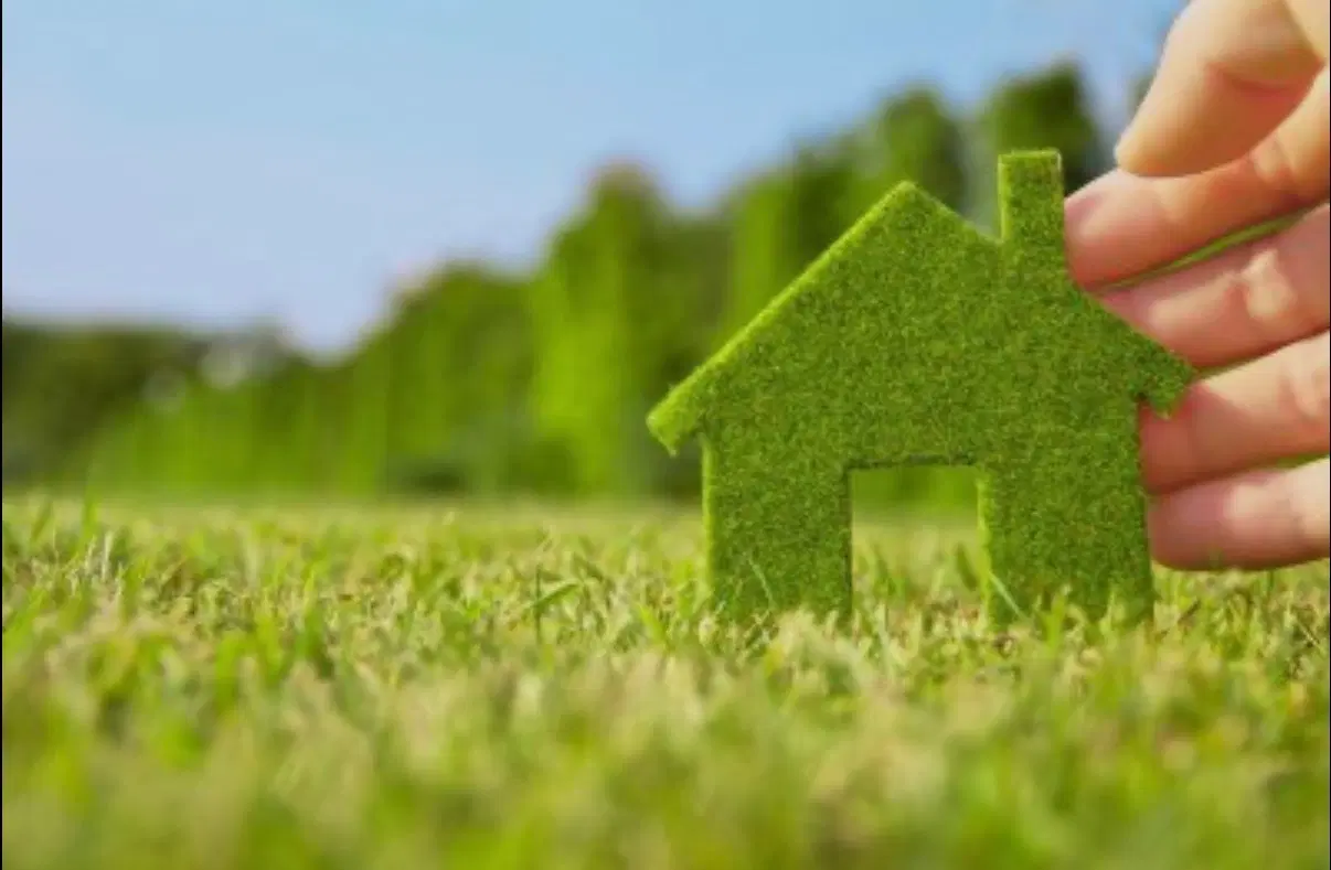 فروش زمین داخل دخانیات