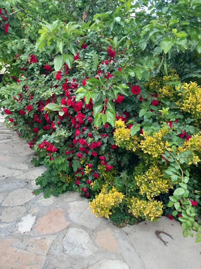 خانه ویلایی چشمه سفید خیابان اصلی