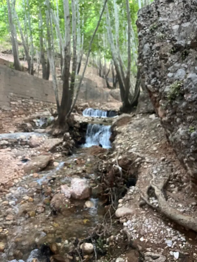 زمین جمهوری ۳۱