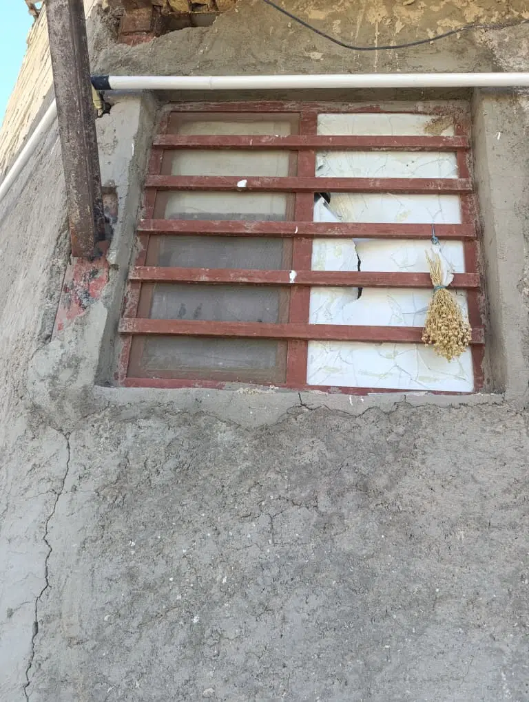 هم خانه خانم