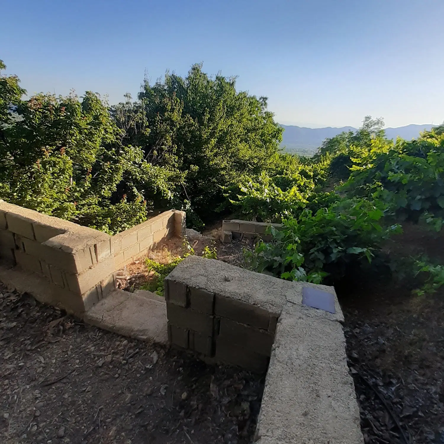 باغ خانوادگی تفریحی