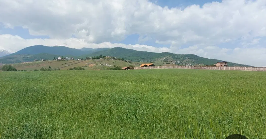 زمین فروشی پورسینا