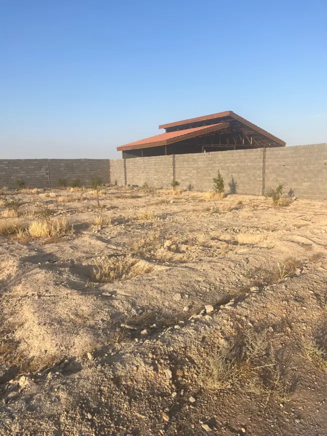 زمین باغی داخل مجموعه
