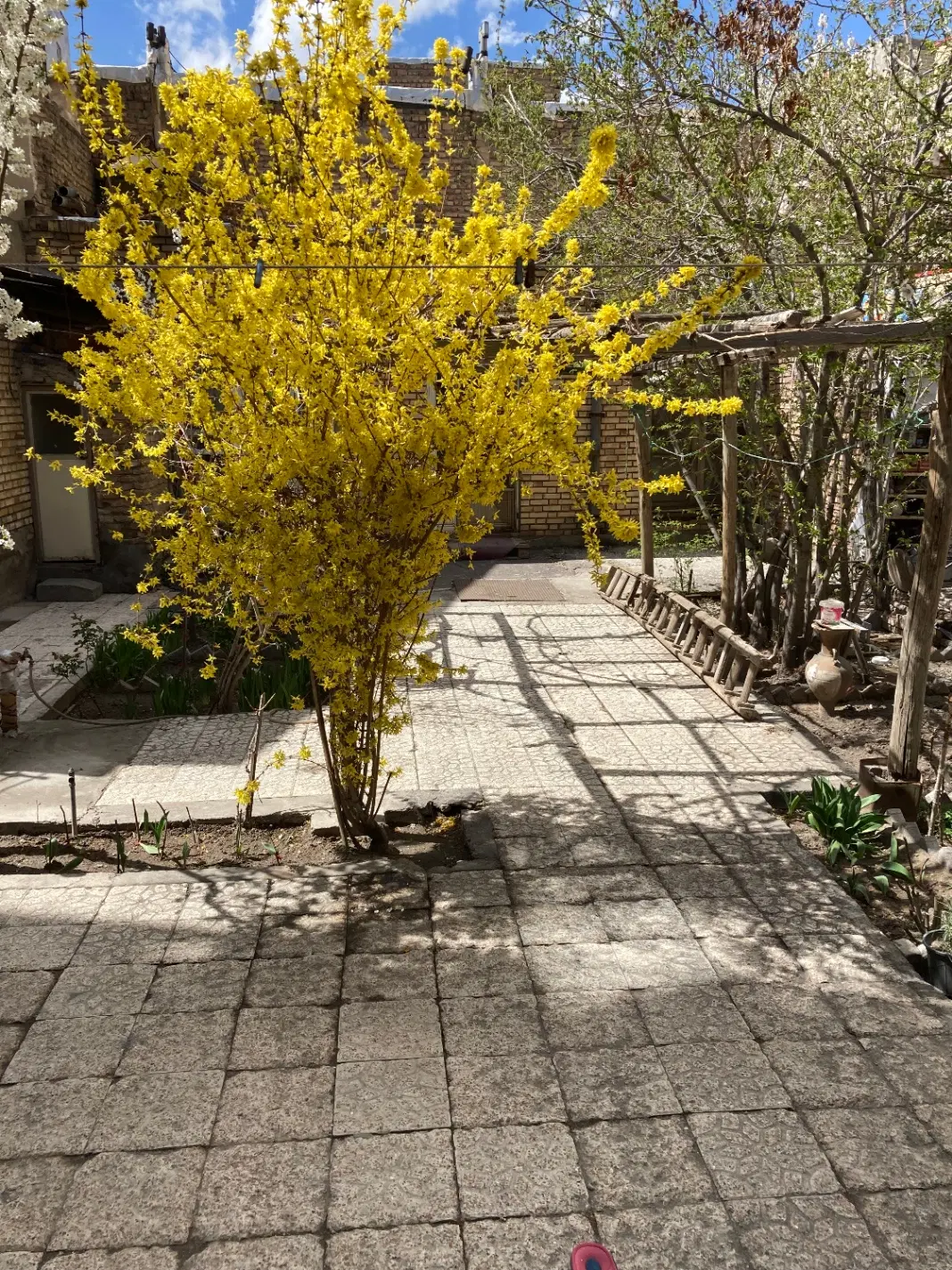 خانه کلنگی در مارالان