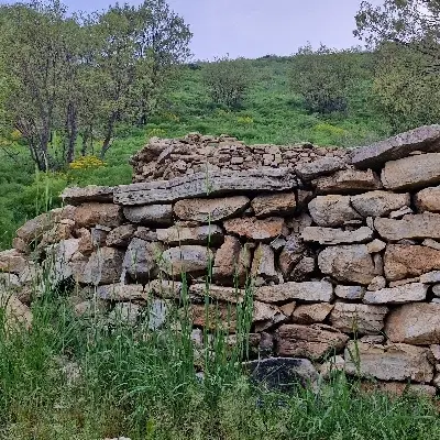 مالم ئه وی بو خرید