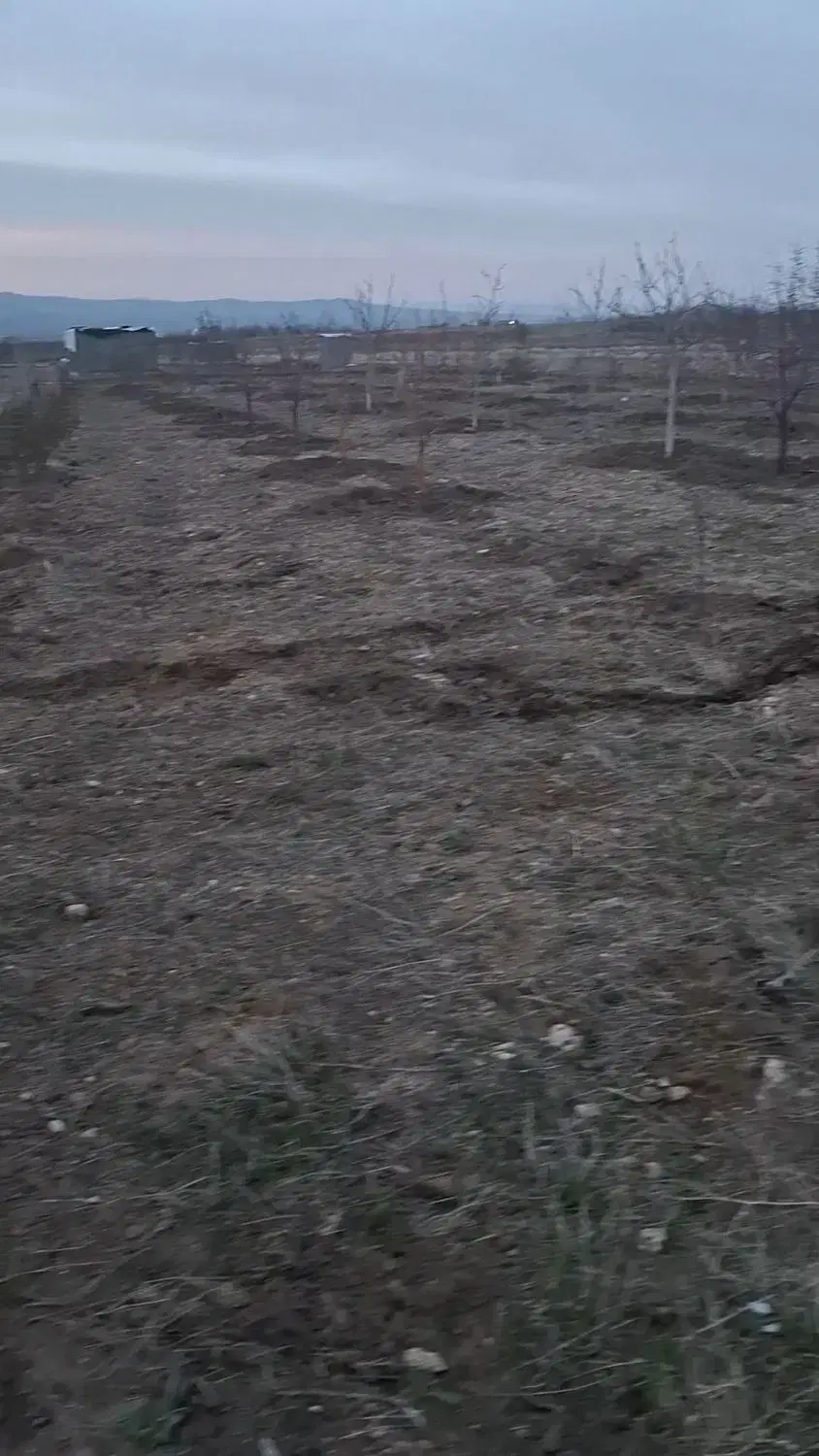 باغچه 2000 متری