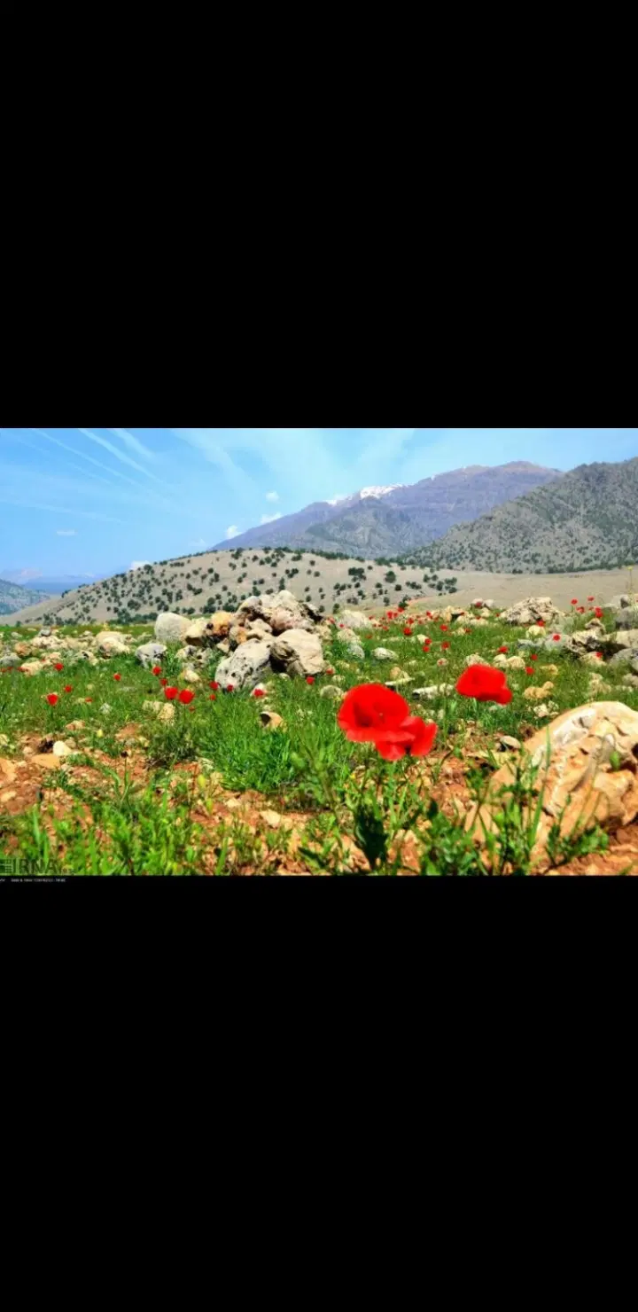 زمین مناسب برای دامداری و مسکونی بهش چلو اندیکا