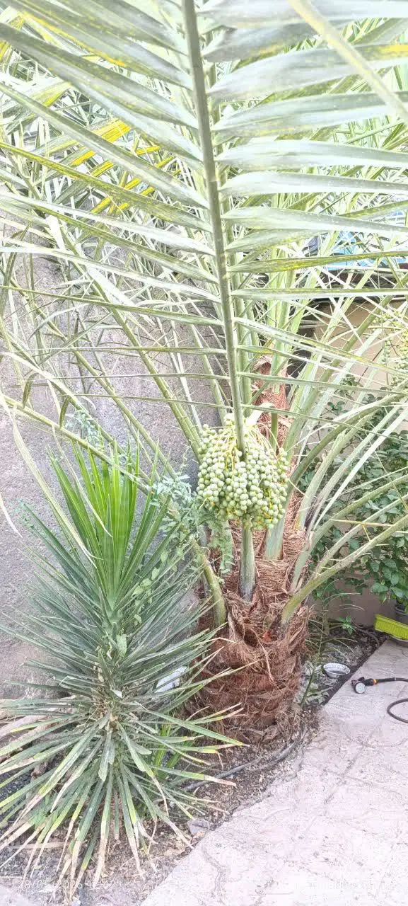 فروش خانه دوطبقه