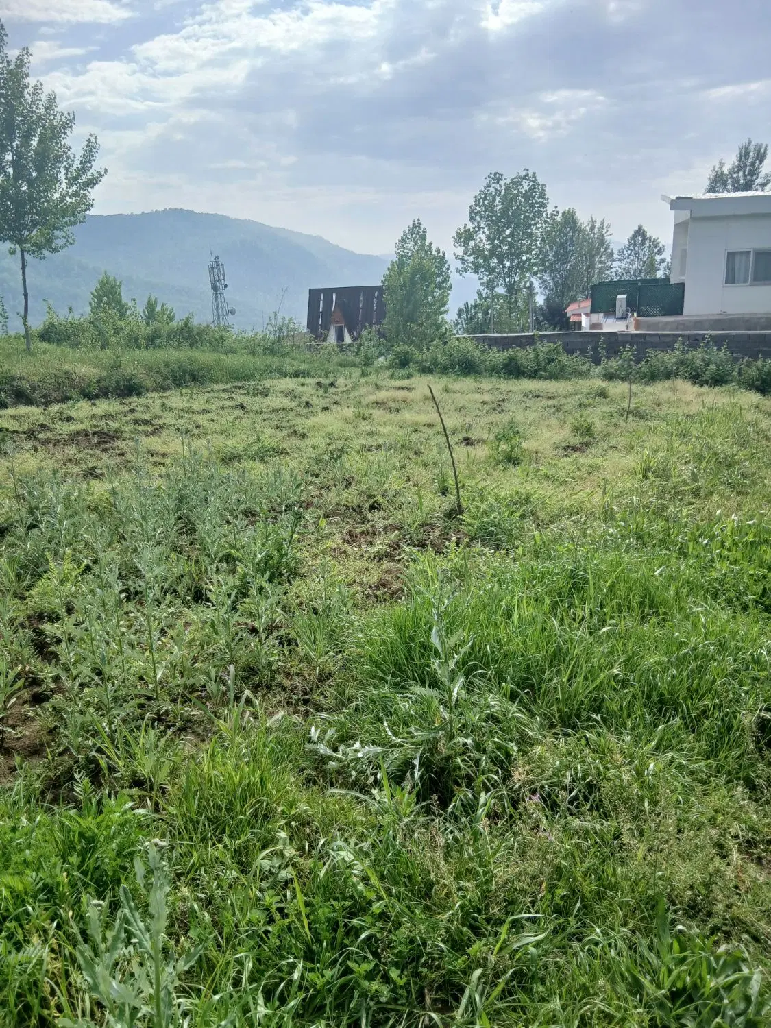 زمین مسکونی واقع در روستای تخت