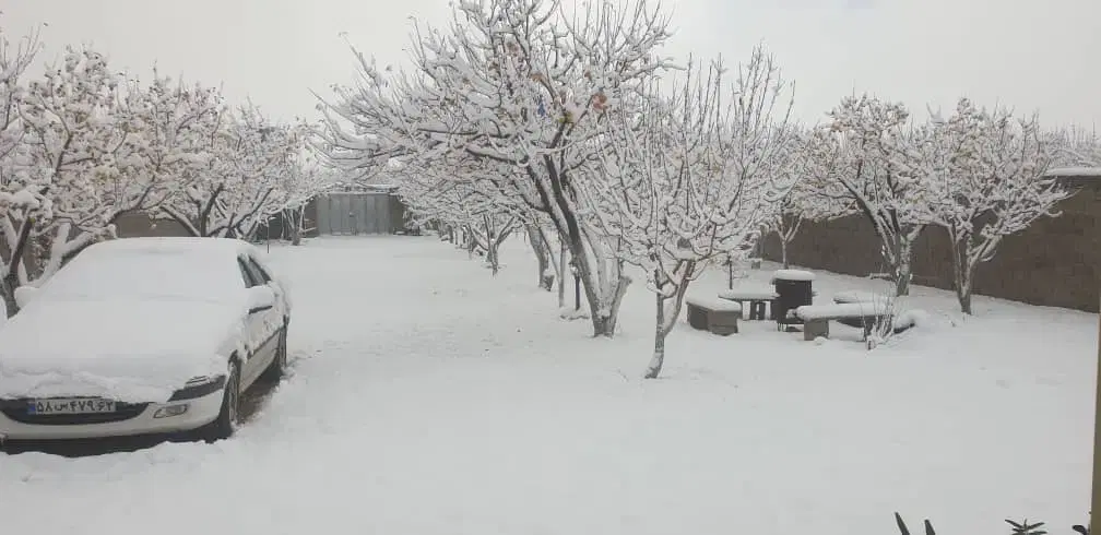 زمین باغشهری قلات (کودیان)