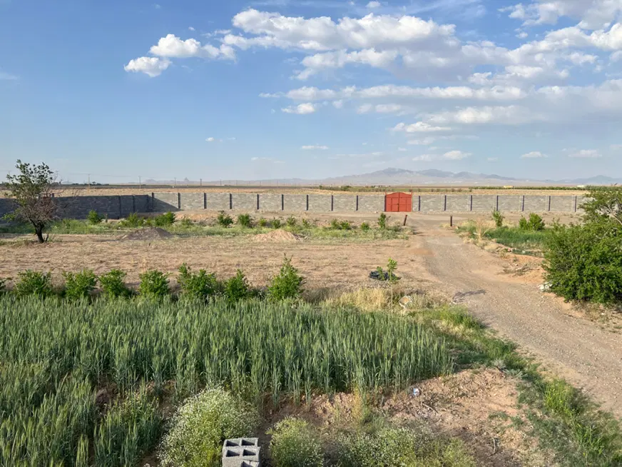 زمین خونه باغ دوچاهی