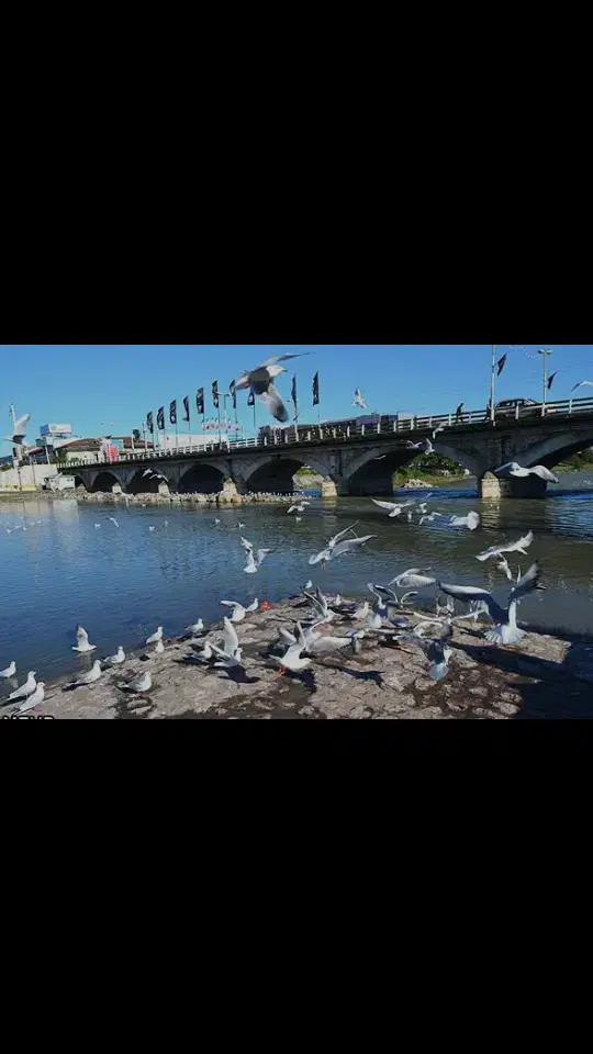 مالکم.تهاترمغازه،باخودرو228مترزمین16متربرتجاری