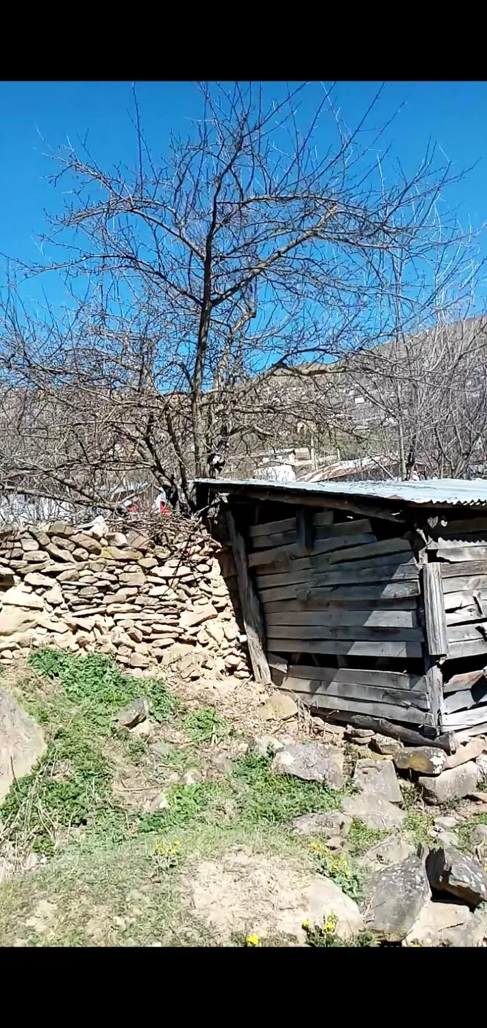 زمین فروشی بابل روستای شیخ موسی