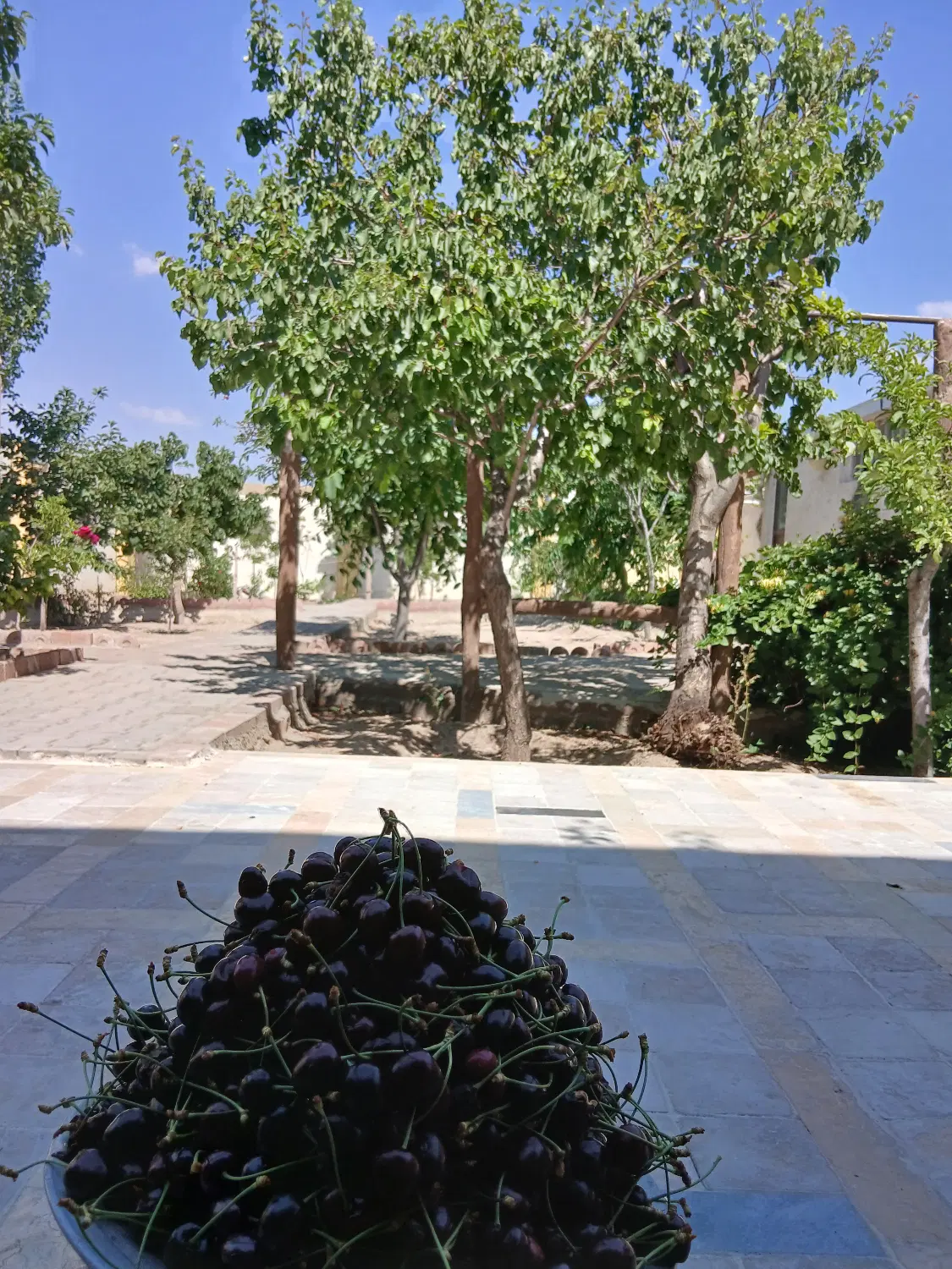 فروش ۴۲۲مترشامل ۲۰۰مترمسکونی+۲۲۲مترباغچه.