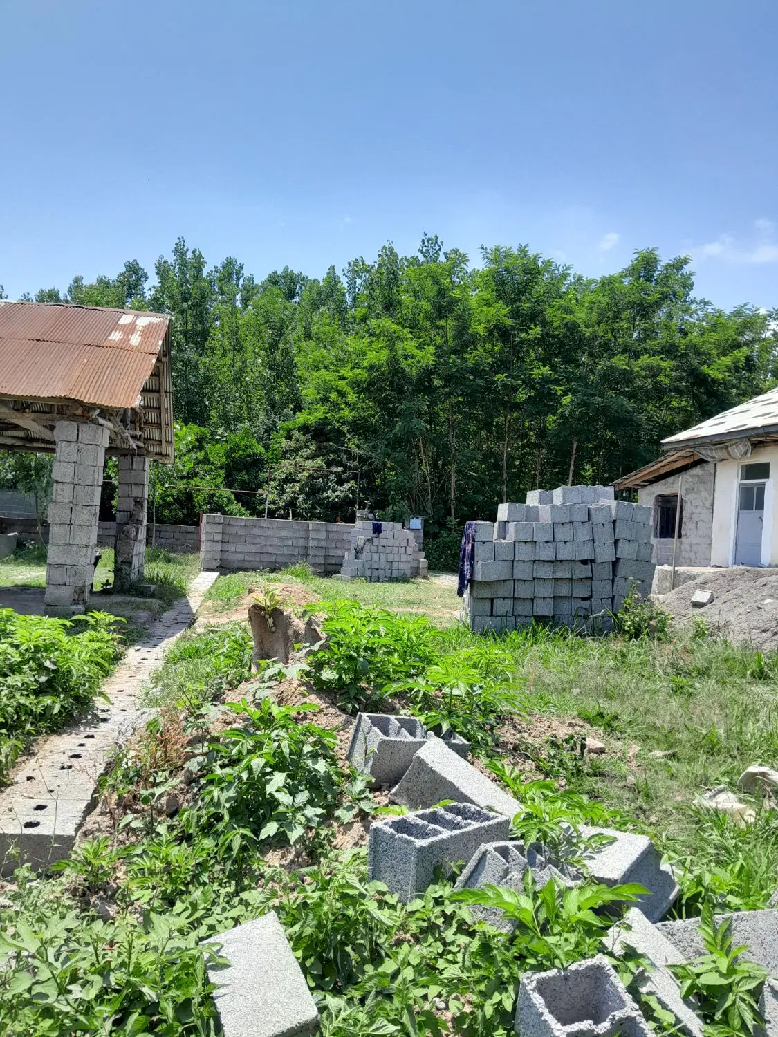 زمین مسکونی 220 متر روستایی دور دیوار فوری