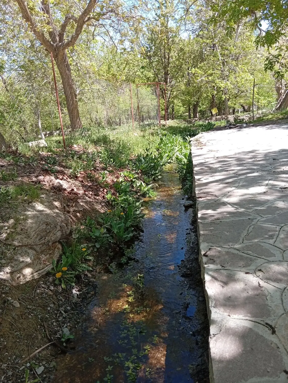 زمین کشاورزی