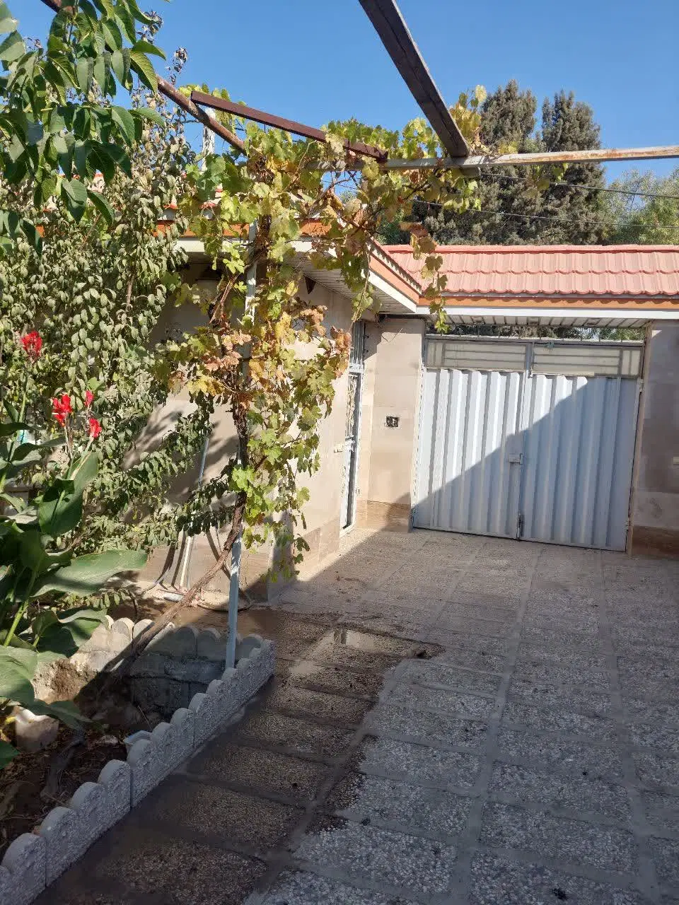 باغچه نقلی