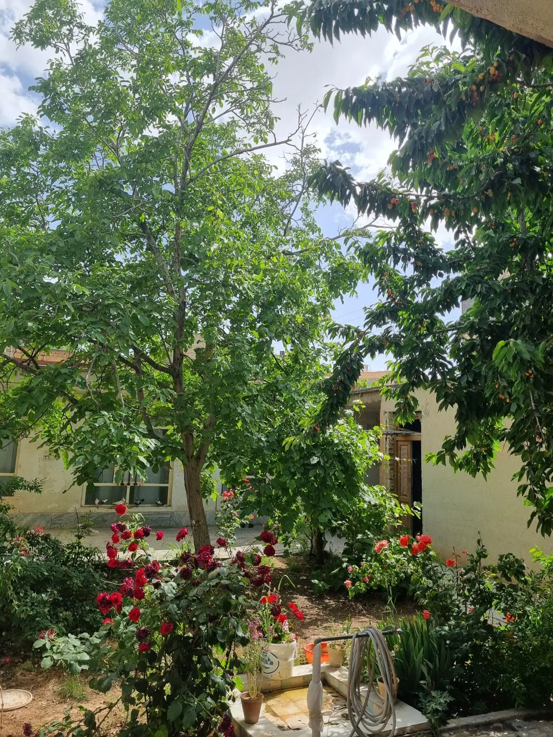 اجاره خانه ویلایی