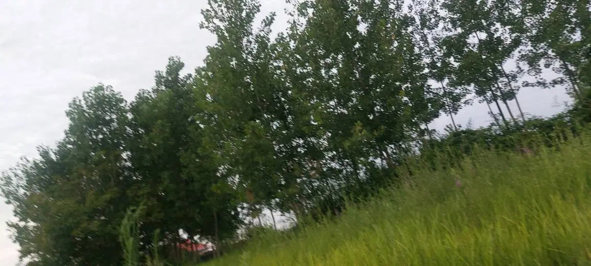 زمین درمسیرجاده عالی داخل بافت روستا