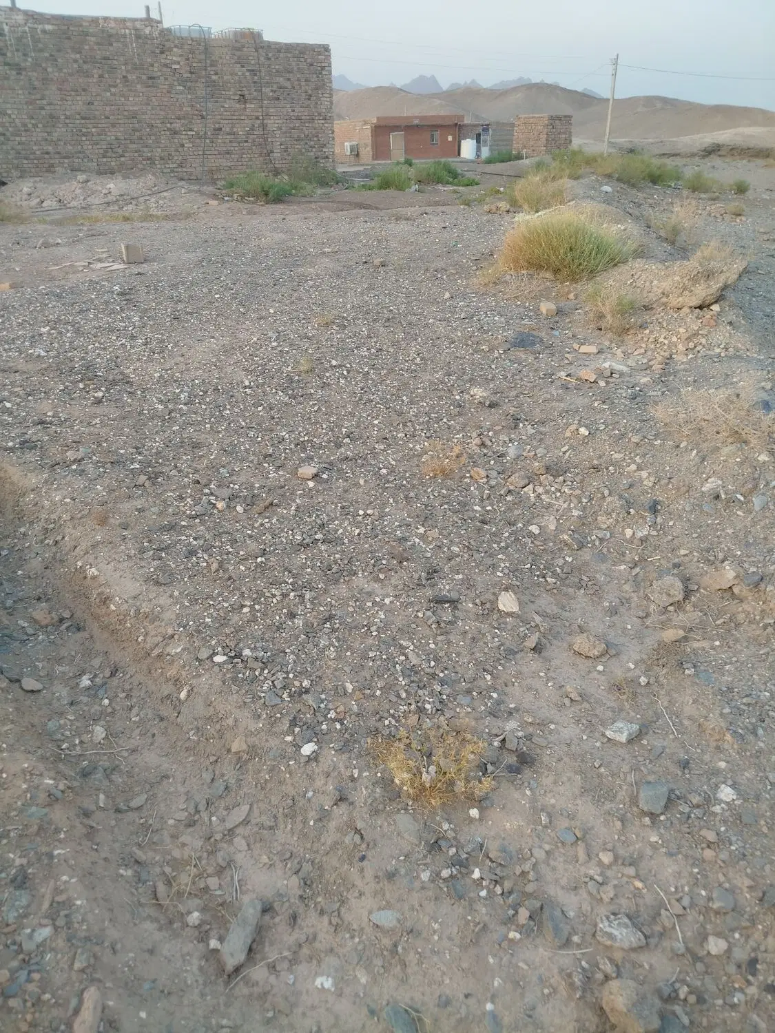 زمین کالیکه