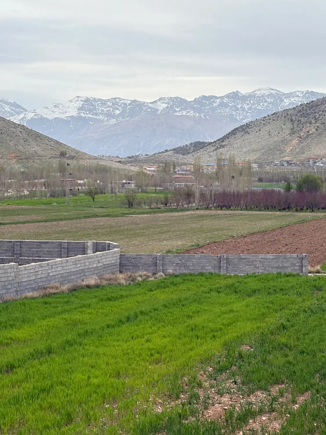 زمین دشتروم مناسب سرمایه گذاری و ویلا باغ