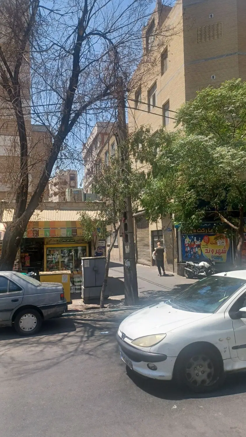 ۴۰ متر تکواحدی ( شیردل نمین )