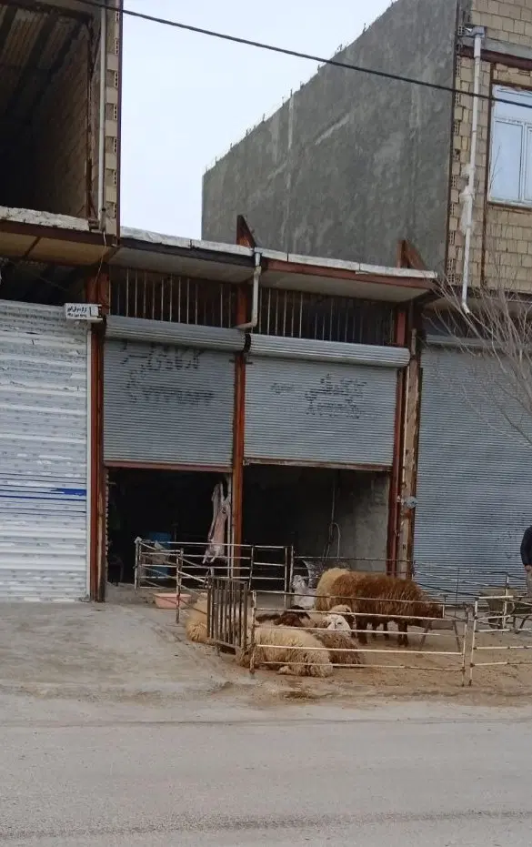 مغازه جعفرآباد