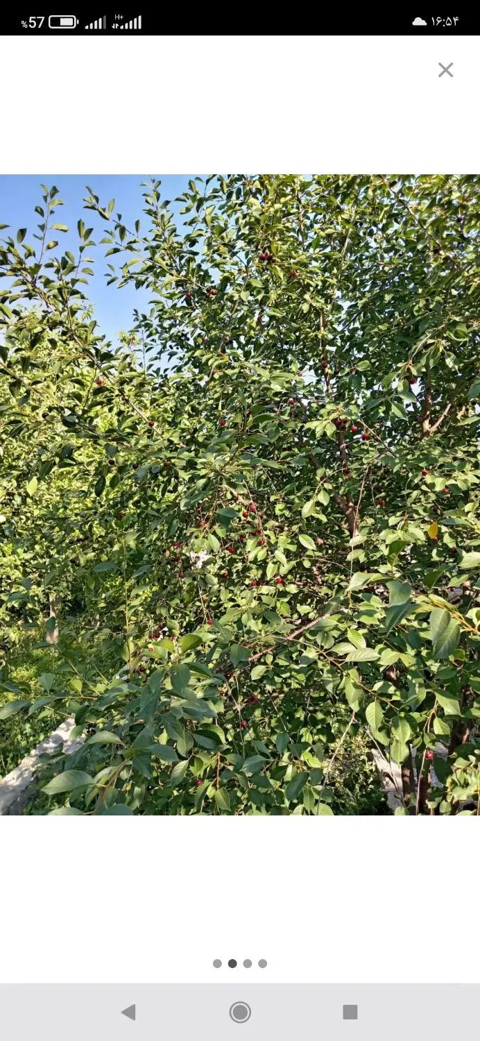 باغ در جاده قطور رهال