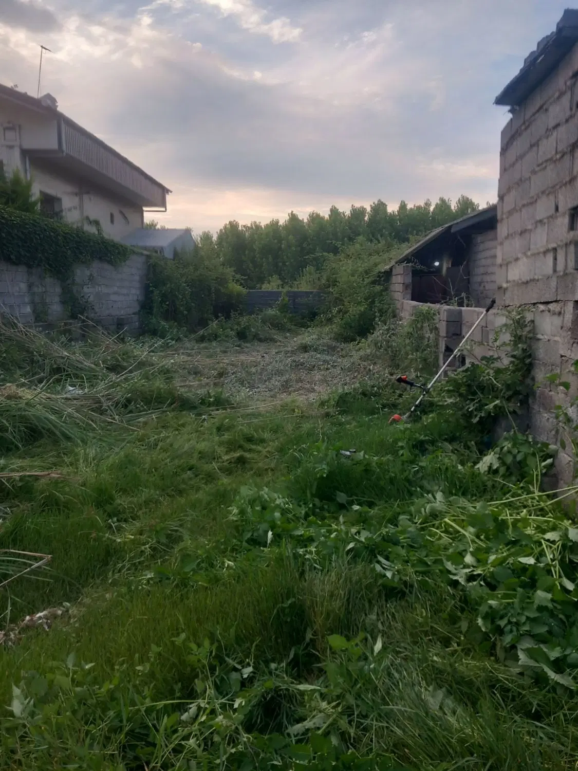 زمین فروشی چمخاله