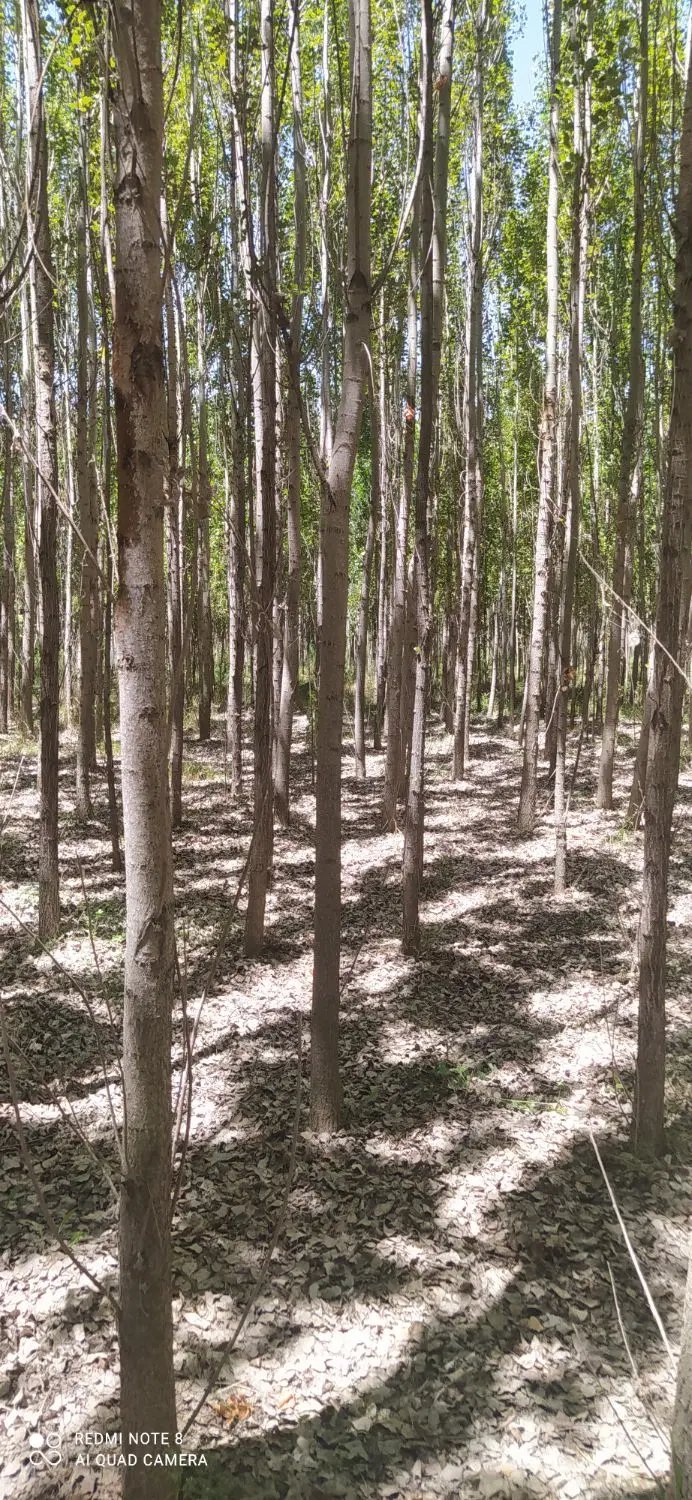 زمین‌‌کشاورزی