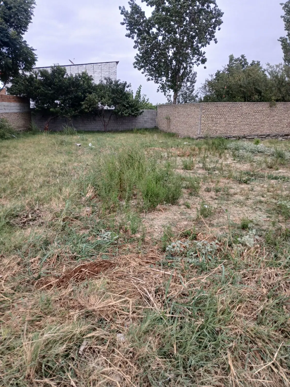 زمین مسکونی در محدوده