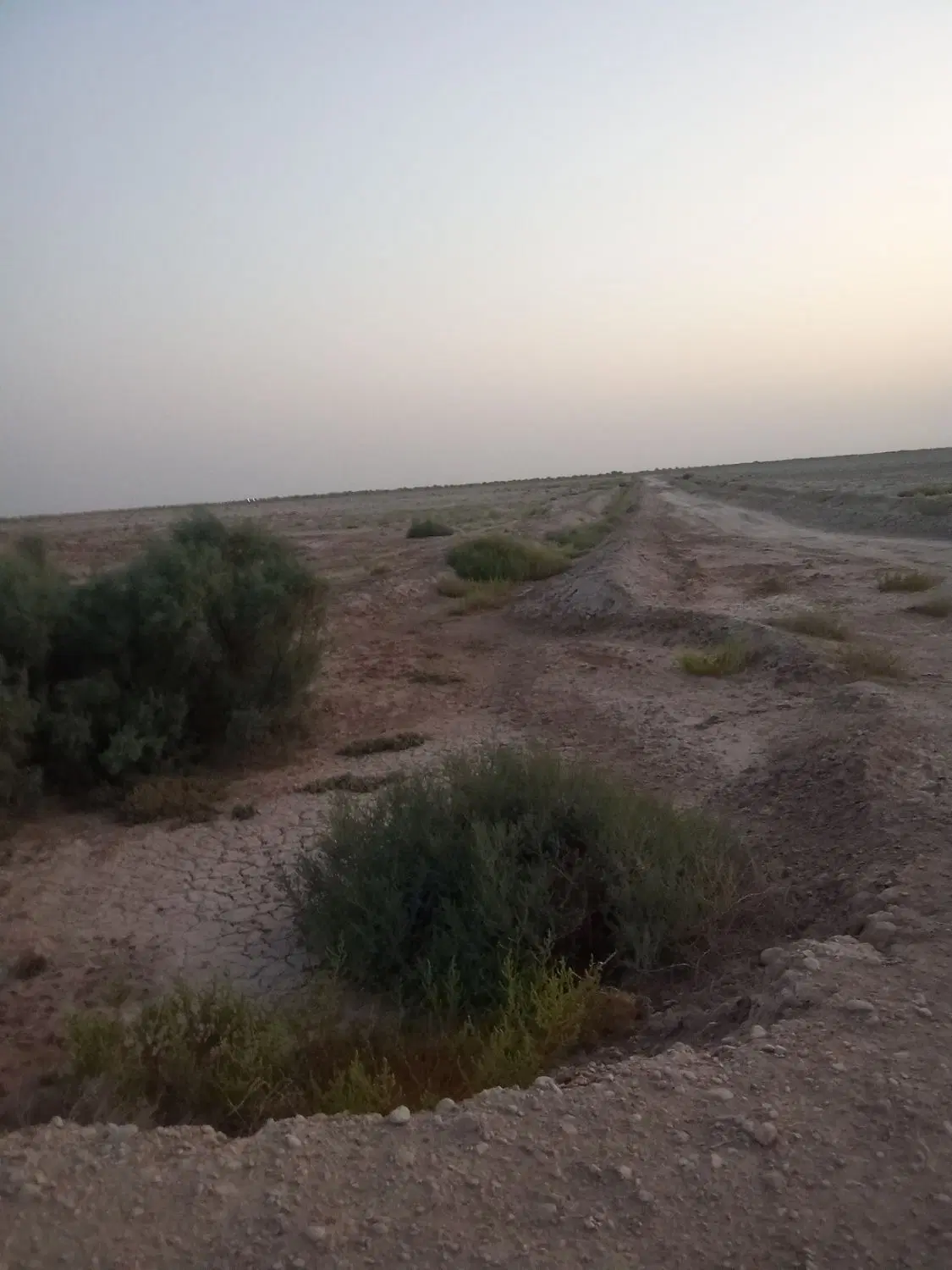 اجاره زمین زراعی مجاور کانال آب