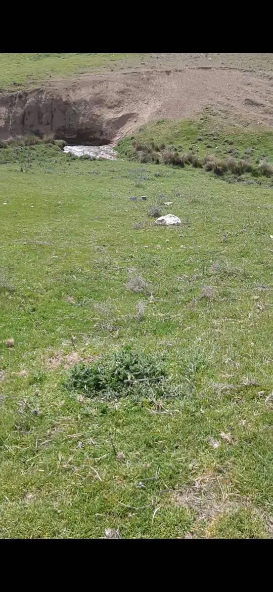 زمین به مساحت ۲۰۲ متر