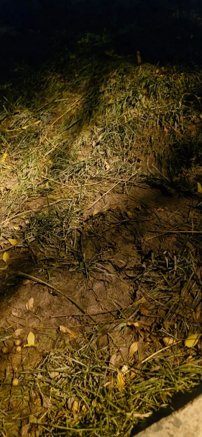 فروش زمین کشاورزی  ایوان  روستای خرابانان سفلی