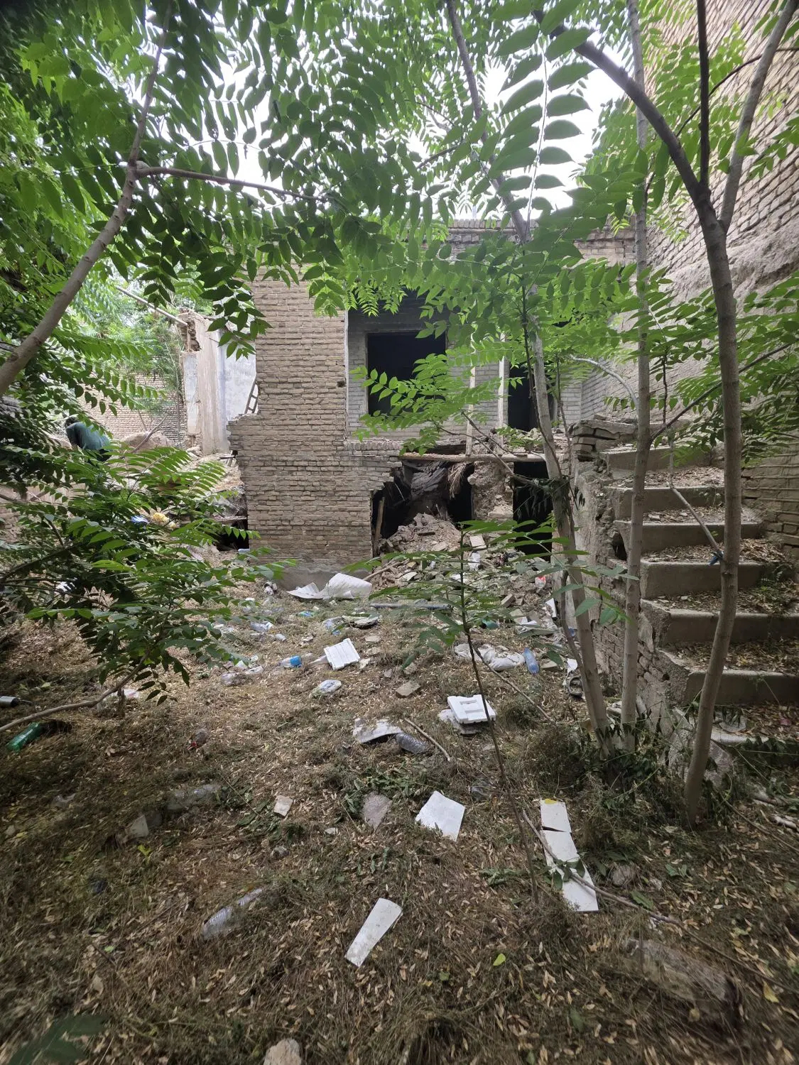 ملک کلنگی تک برگ در چهنو ۱۷شهریور