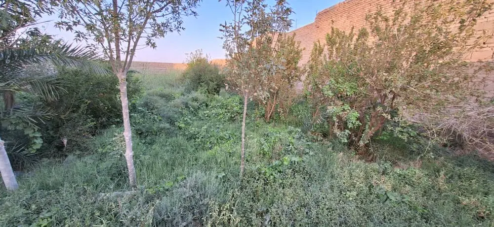 سلام چند قواره زمین روستای عباس آباد(سنجدی)