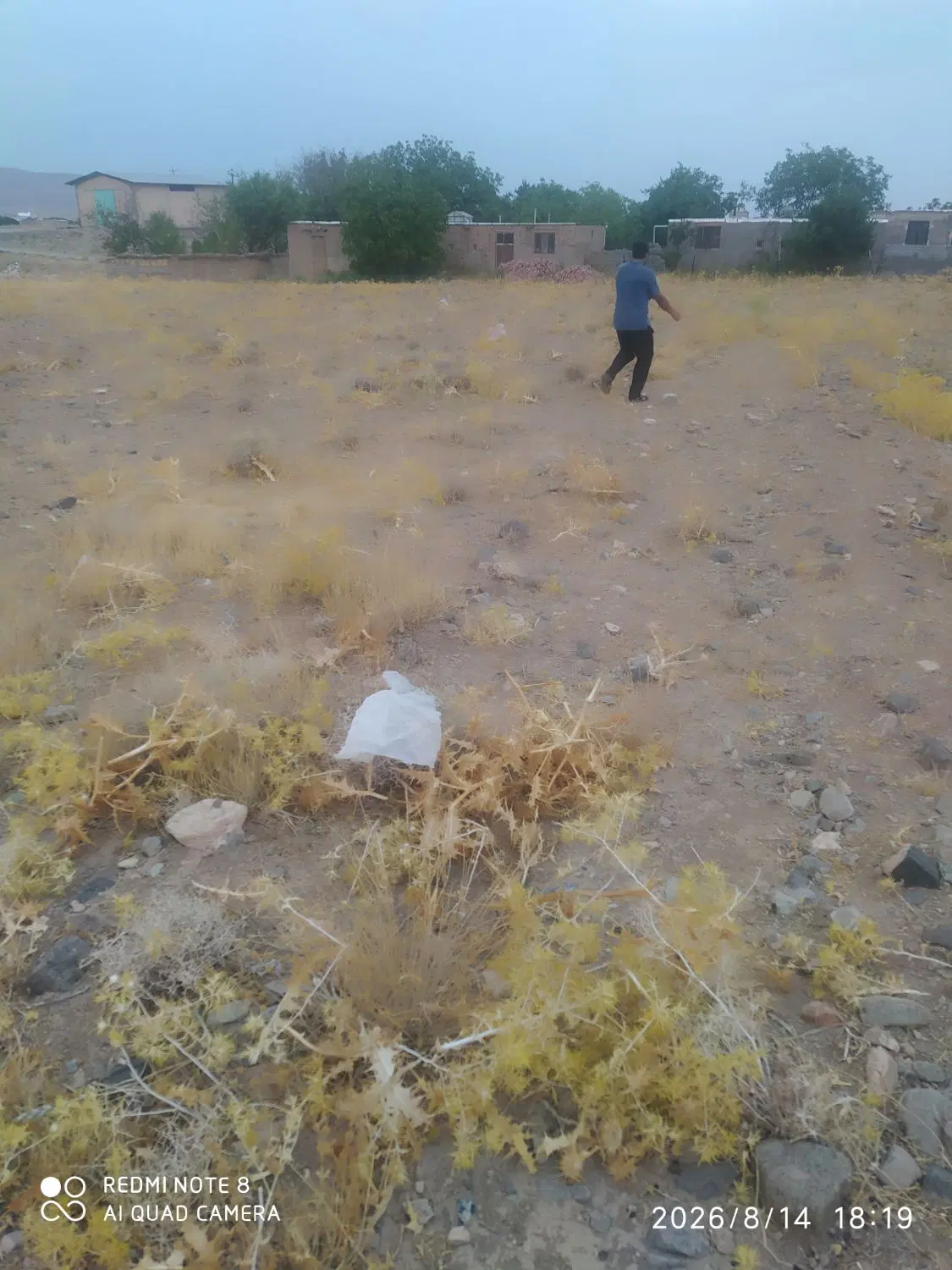 دوازده قصب زمین در بزنجان
