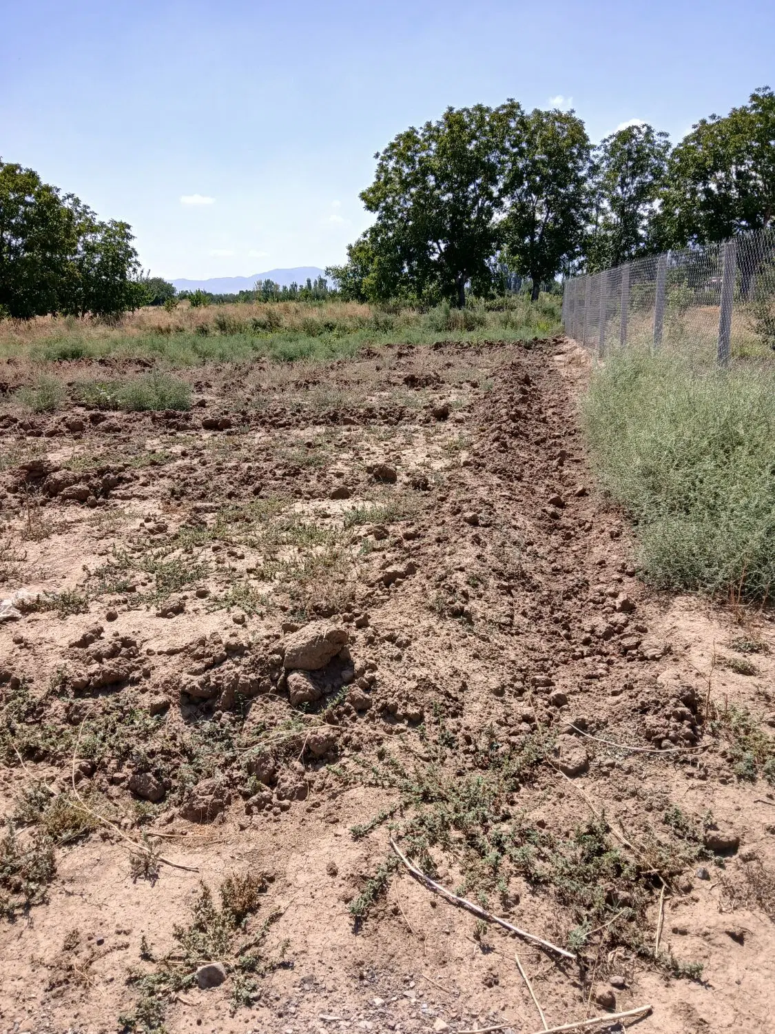 قطعه زمین زراعی مناسب برای درست کردن باغ ویلا
