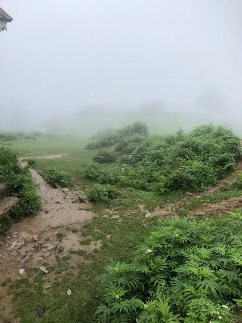فروش ۵۰ قصب باغ ویلا قناتغستان