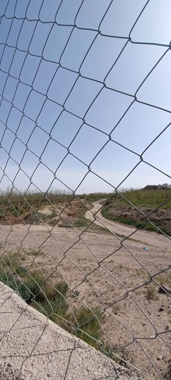 باغ ویلا