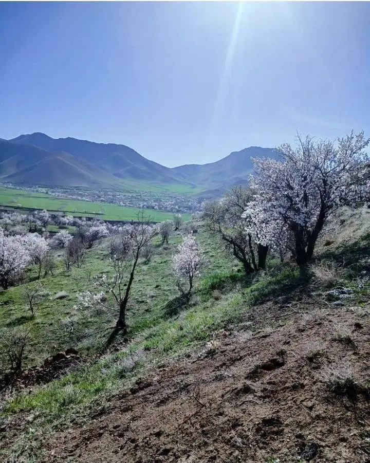۱۰ پلاک زمین ۴۰۰ متری در شهرک کلبه ای ماه