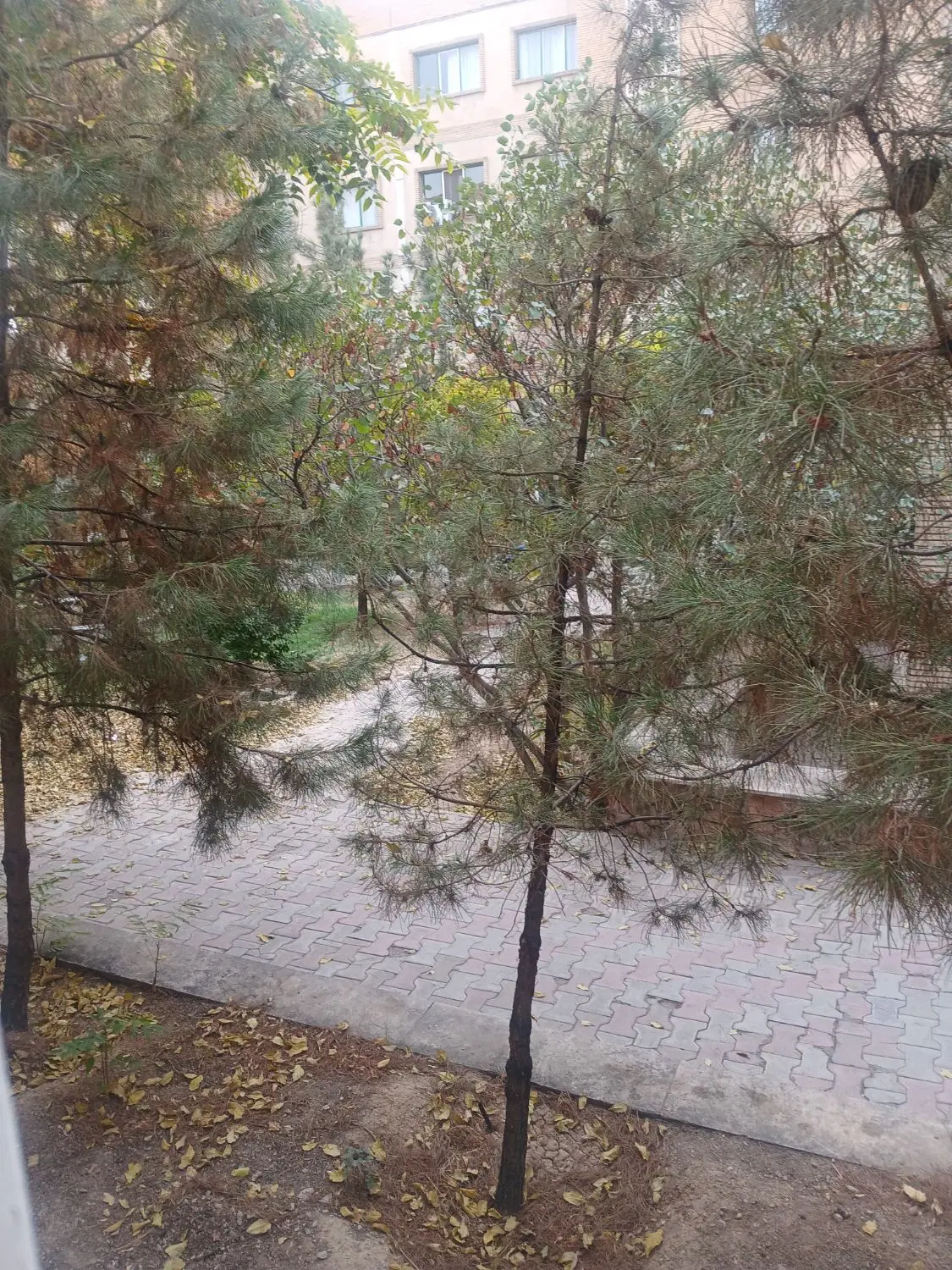 خانه 55 متری شهرک بهشتی