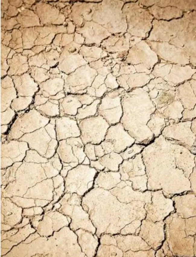 زمین فروشی روستای سنجرانی