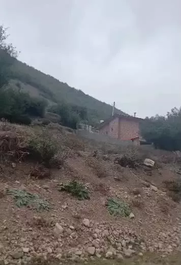 فروش زمین در کجور (ویسر)