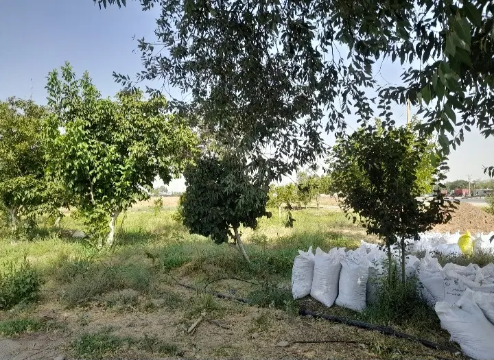 فروش زمین کشاورزی