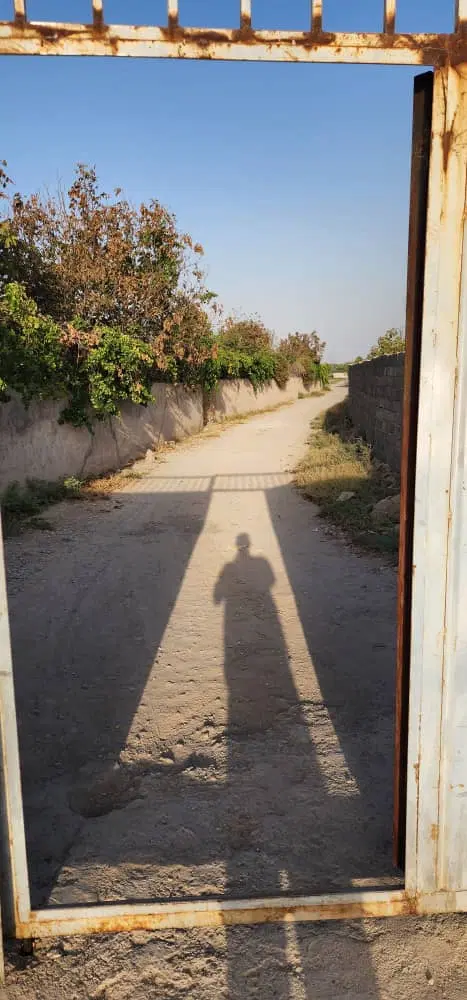 باغچه