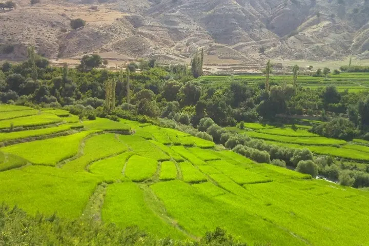 زمین مسکونی _ خلیج فارس _ 300 متر