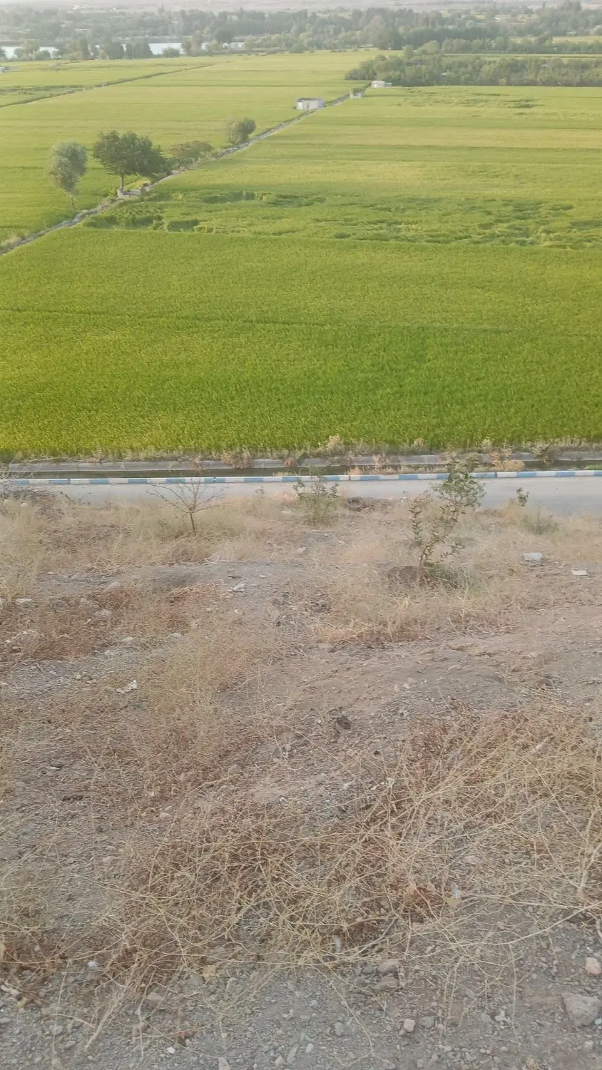 زمین مسکونی لب صحرا سده لنجان
