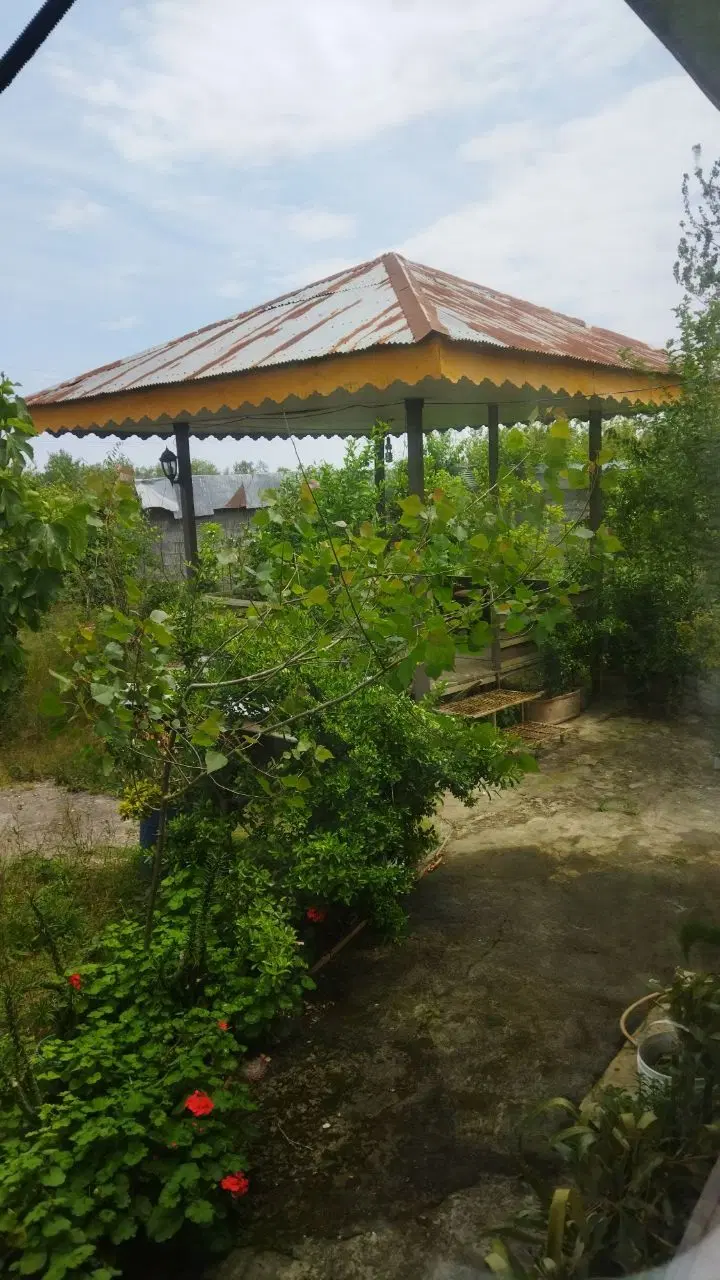 باغ ویلا