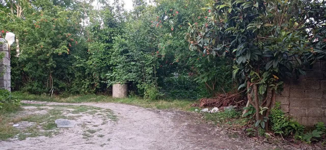 خانه ویلایی در روستای کیسم